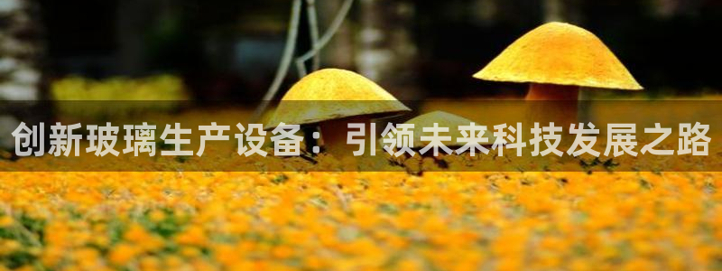 风暴娱乐平台地址