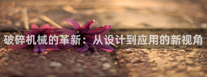 完美风暴 娱乐