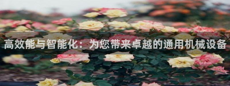 风暴娱乐上5指尖