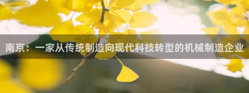 娱乐风暴开头