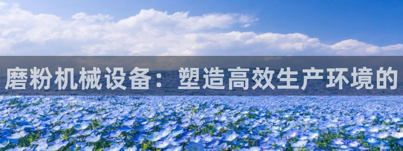 风暴娱乐 平台首页