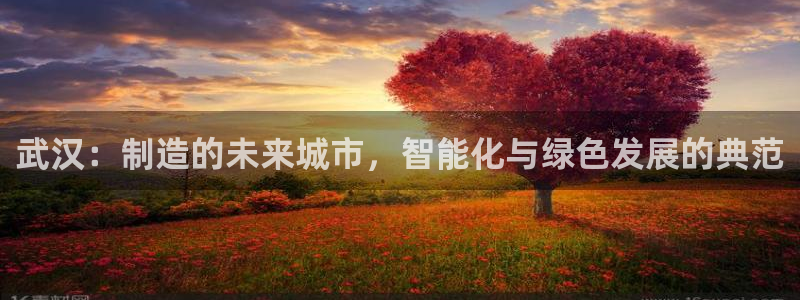 风暴娱乐右5指尖