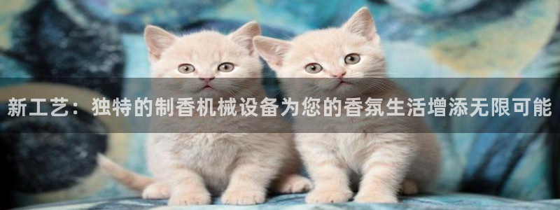 风暴娱乐部