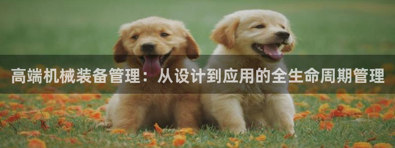 完美风暴 娱乐