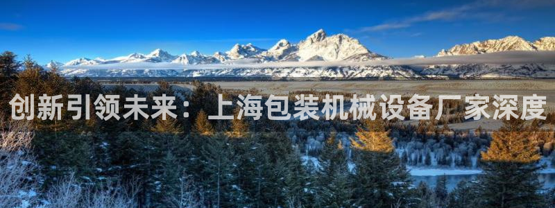 风暴娱乐主管是谁