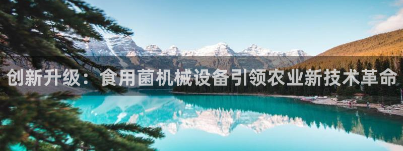 娱乐风暴系统