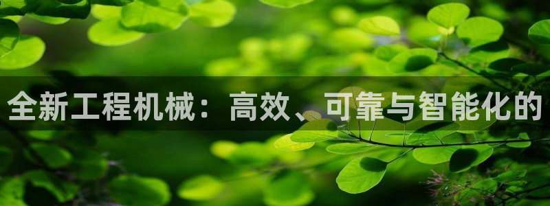 娱乐风暴合集