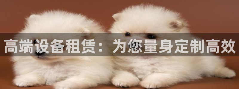 风暴娱乐主管是谁