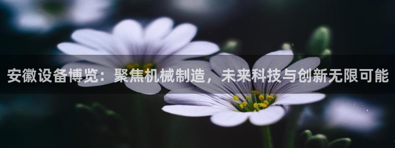 风暴娱乐求333OOf