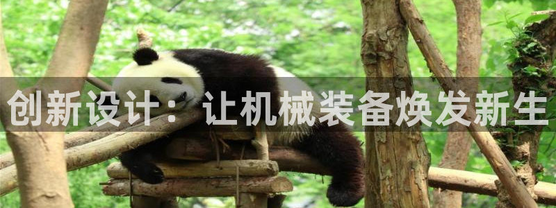 风暴娱乐自动挂