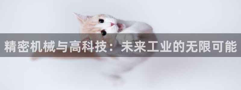 风暴娱乐左5指尖