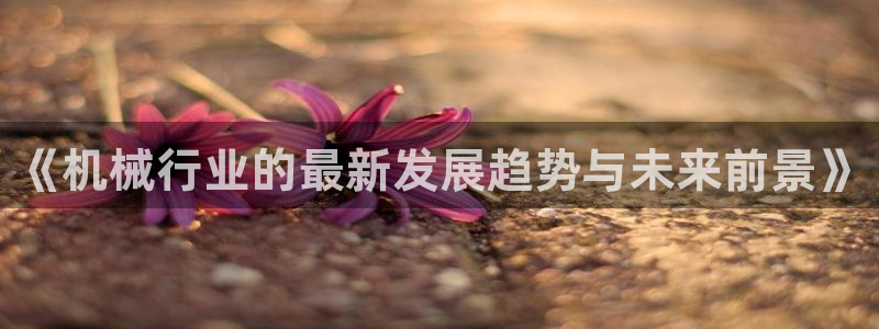 风暴娱乐求333OOa