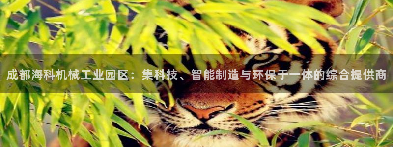 风暴娱乐代理登录