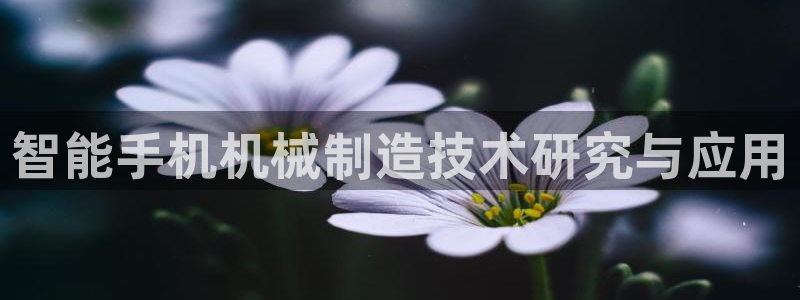 娱乐风暴开头