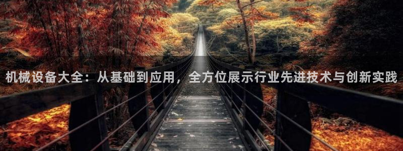 风暴数字娱乐
