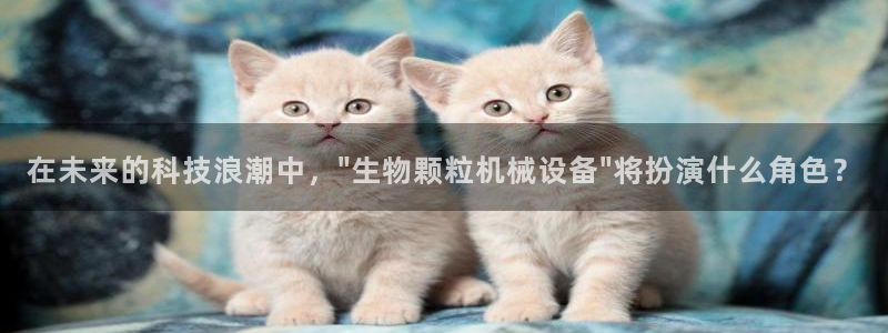 完美风暴 娱乐