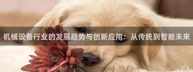 风暴娱乐求333OOc