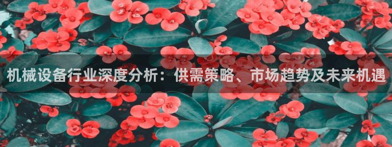 风暴娱乐地5指尖