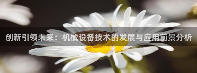 娱乐风暴港