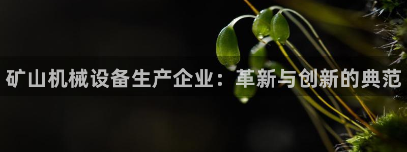 风暴娱乐待遇