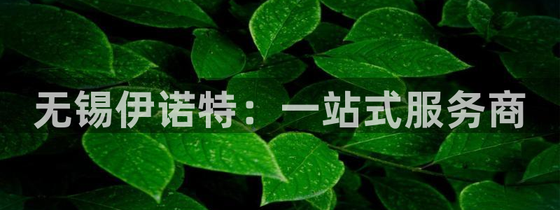 风暴娱乐主管是谁